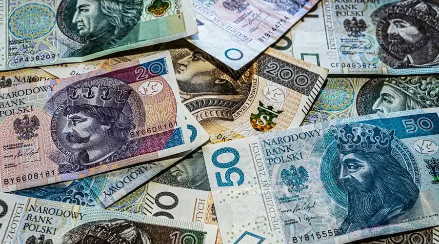 Close-up view of various Polish Zloty banknotes showcasing intricate designs.