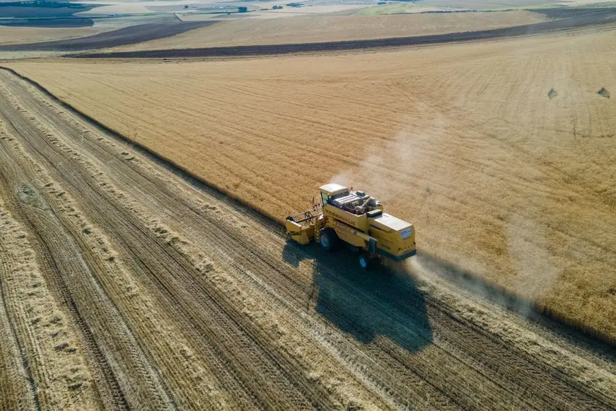 Drone shot capturing a combine harvester working in a vast wheat field during harvest season.