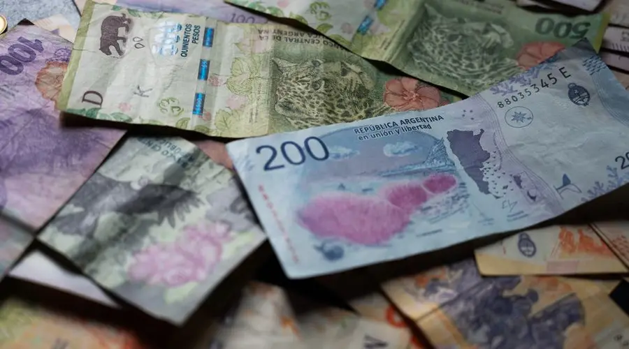 Close-up of Argentine pesos showcasing unique wildlife designs in Provincia de Buenos Aires.
