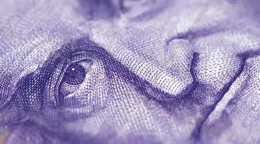 High-resolution macro image focusing on the intricate details of paper currency design.