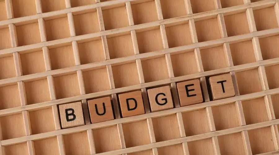 Wooden letter tiles spelling 'budget' on a wooden grid background, symbolizing finance and planning.