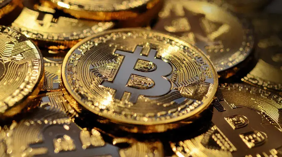 finance education learning Crypto Trend-Following Momentum trading