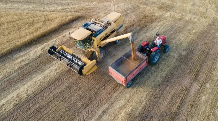 Aerial shot of a combine harvester and tractor working together in a field during harvest.
