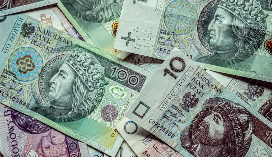 Close-up of various Polish Zloty banknotes, displaying currency and finance.