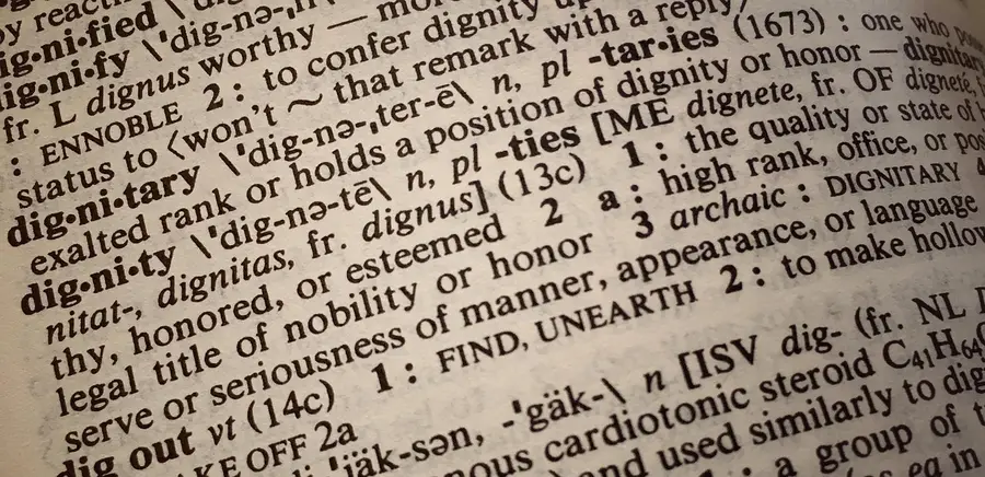financial statements business analysis Accruals Definition Formula matter earnings