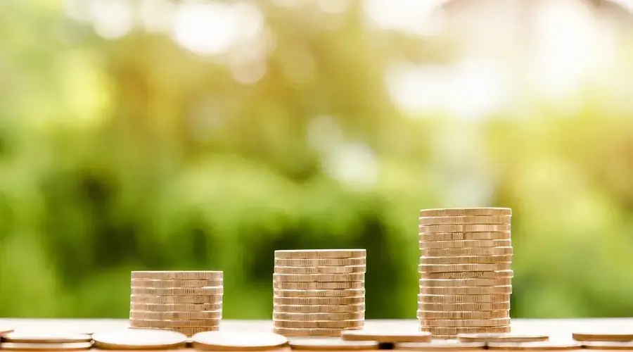 financial statements business analysis Growth Profitability Cash all three