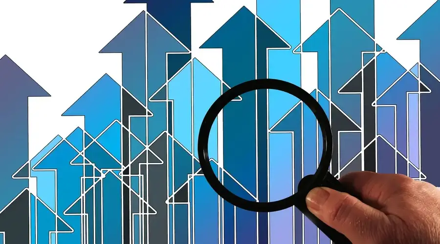 financial statements business analysis Customer Growth Net