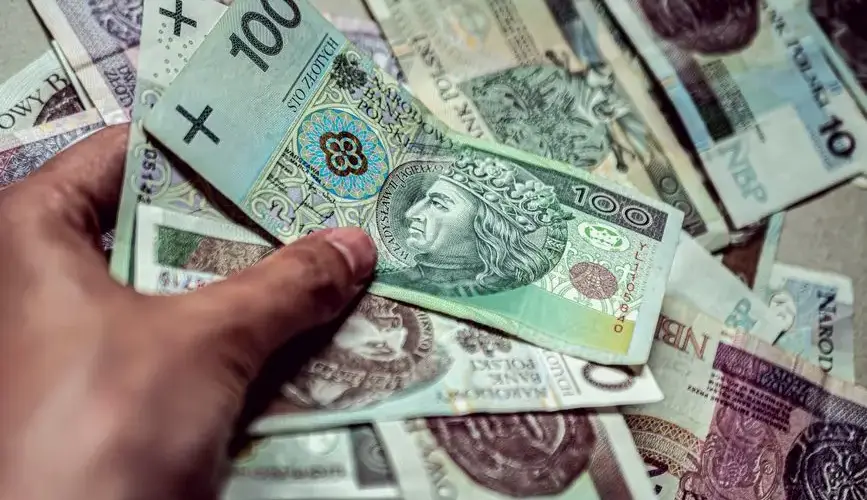 A hand holding Polish Zloty banknotes, depicting currency and finance.