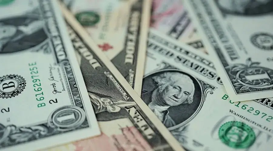 financial statements business analysis Segment Profit Margin