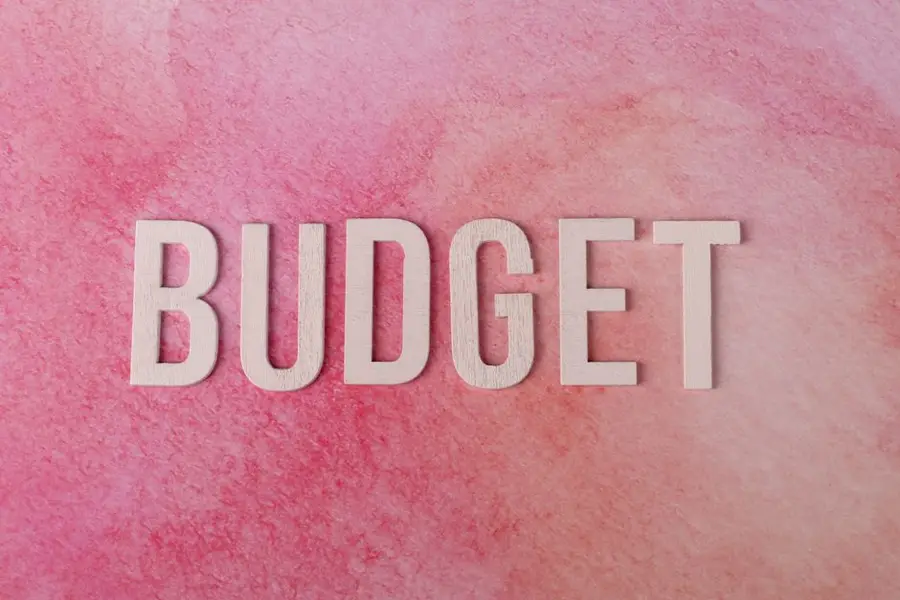 The word 'BUDGET' on a pink textured background emphasizes financial planning.
