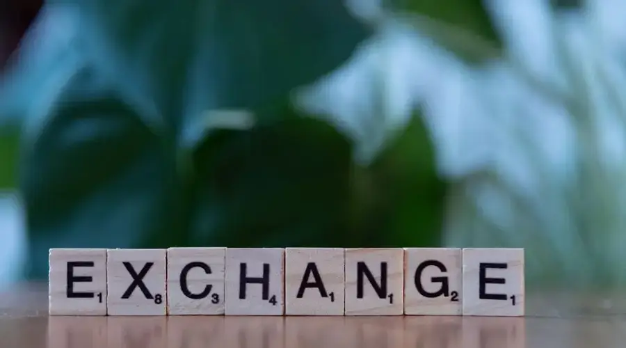Wooden blocks spelling 'exchange' on a table with a blurred green background.