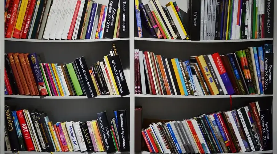 Diverse collection of books on neatly organized shelves in a bookstore setting.