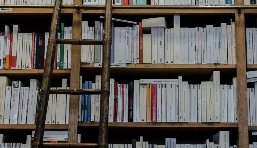 A wooden ladder leaning against a full bookcase in a library, showcasing hardcover books arranged in an organized manner.