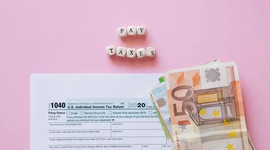 Top view of tax form, euro banknotes, and 'Pay Taxes' letter blocks on pink background.