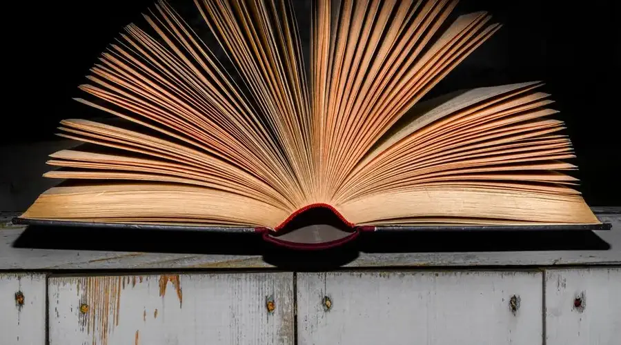 An open vintage book displayed on a wooden surface with dramatic lighting emphasizing its textured pages.