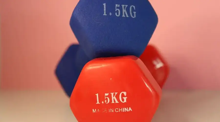 Close-up of blue and red 1.5 kg dumbbells for gym and weightlifting.