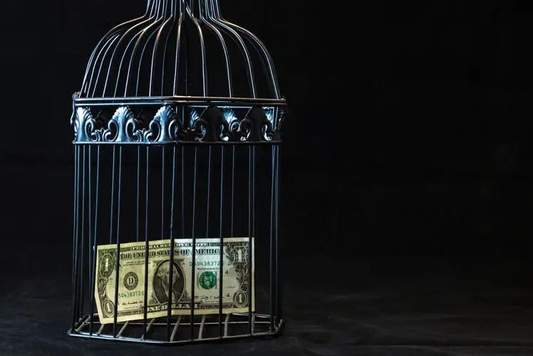 A dollar bill imprisoned in a decorative cage symbolizing financial confinement.