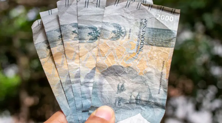 Hand holding multiple Indonesian Rupiah banknotes outdoors, showcasing currency and finance concepts.