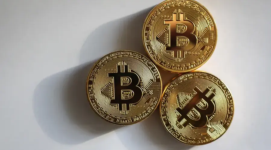 blockchain data network technology Token Holder Concentration