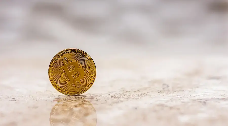blockchain data network technology Stablecoin Exchange Flows