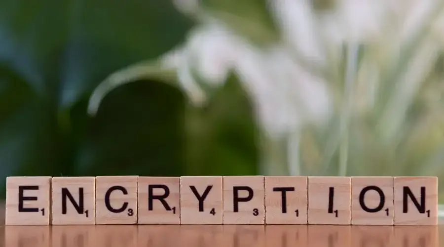 Close-up of wooden blocks spelling 'encryption', symbolizing data security and digital protection.