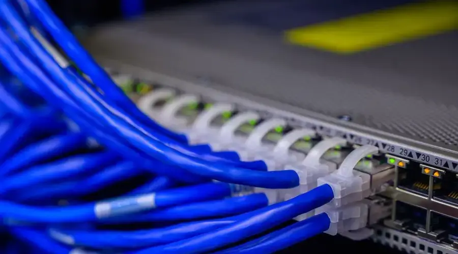 Detailed view of blue ethernet cables connected to a network switch in a data center.