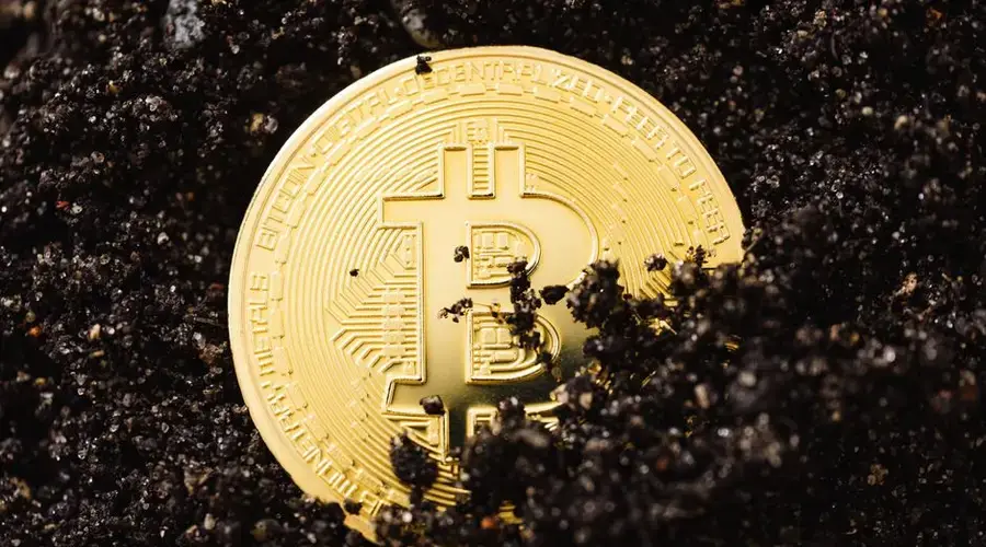 A gold Bitcoin coin partially buried in dark soil symbolizing digital currency growth.