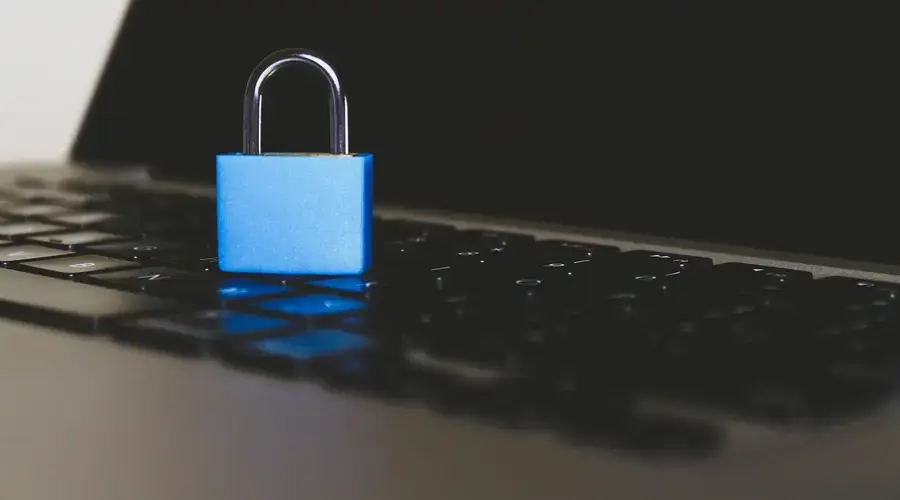 blockchain data network technology Staking Participation Locked