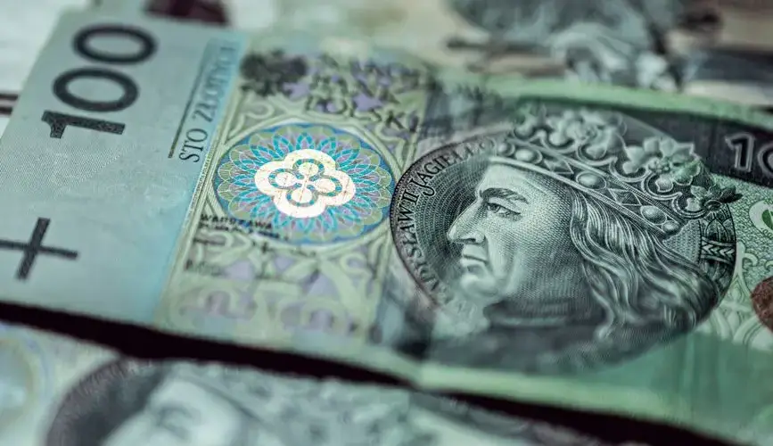 Detailed close-up of Polish zloty banknotes focusing on 100 PLN, highlighting intricate currency design.