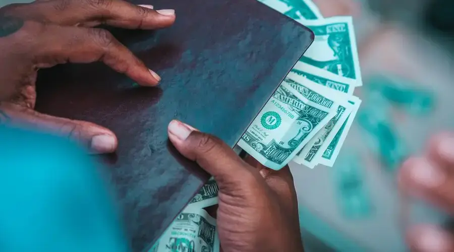 Close-up of hands holding a leather wallet and dollars, showcasing wealth and finance.