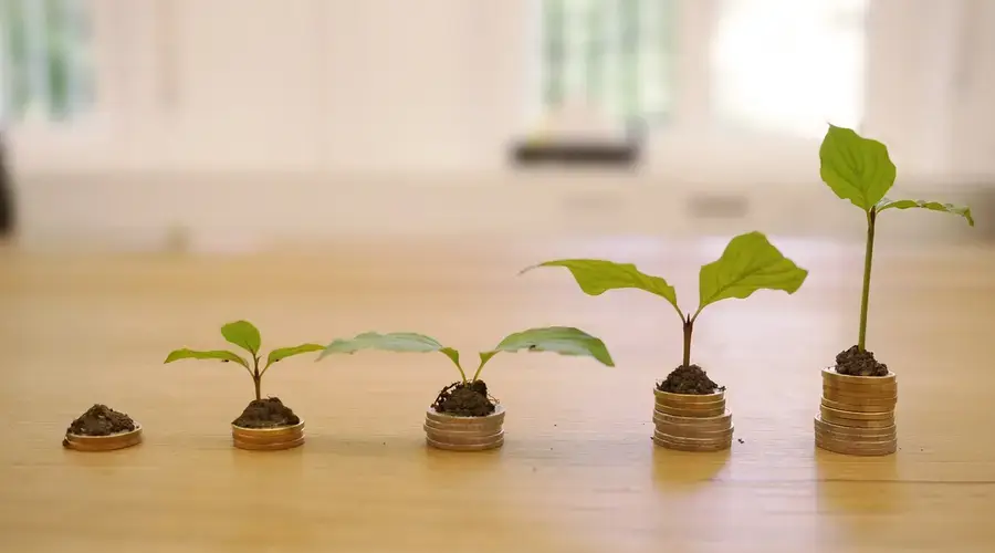 finance business Industry Growth Price