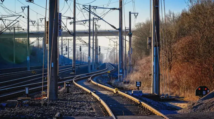 finance business Copy-Trading Signal Scams fabricated track