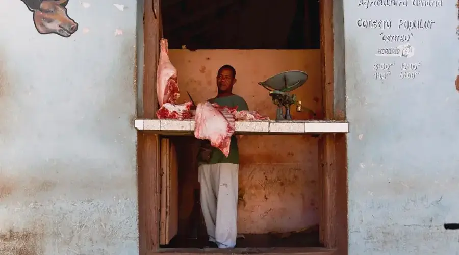 A traditional butcher shop displaying fresh meat cuts with a man at the counter.