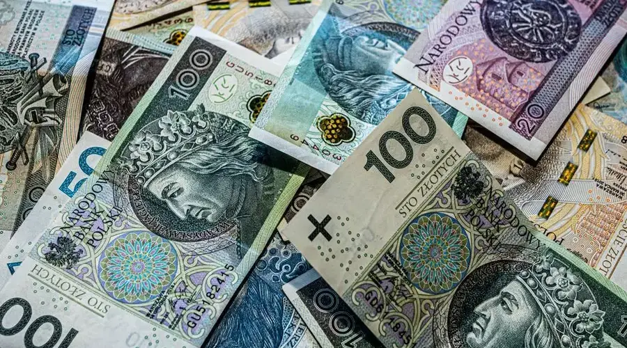 A collection of Polish Zloty banknotes in various denominations, scattered.