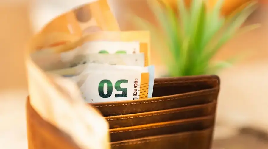 Close-up of a wallet with euro notes and a green plant in the background.