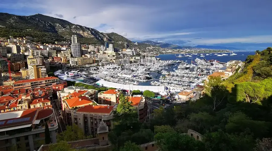 stock market business finance Common Monte Carlo errors all