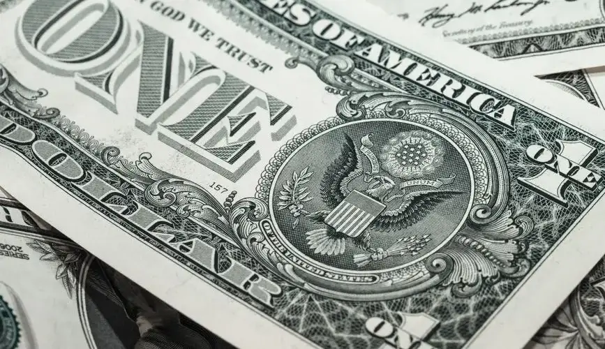 Detailed macro shot of a United States one dollar bill showing various design elements.