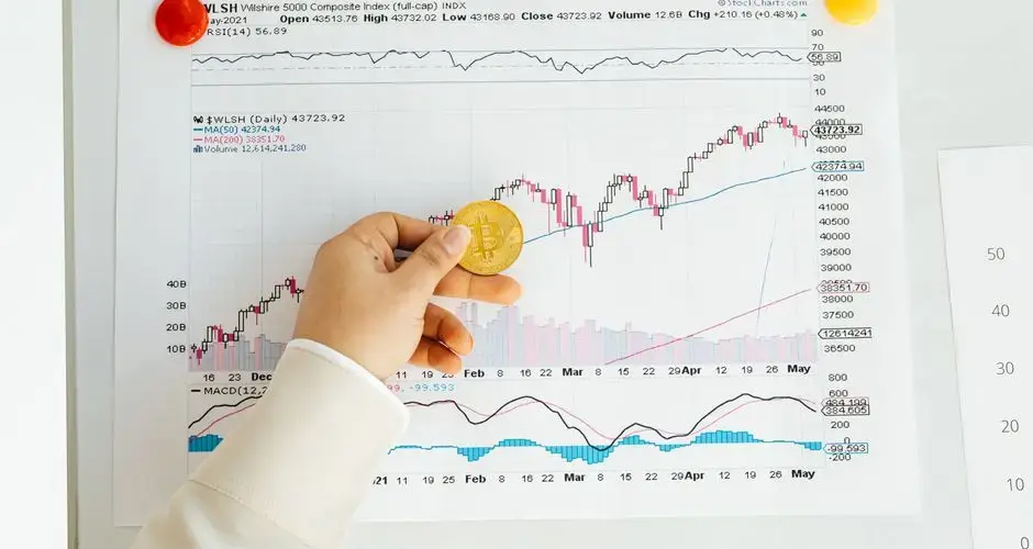 A hand holding a Bitcoin coin in front of a stock market chart, symbolizing analysis and finance.