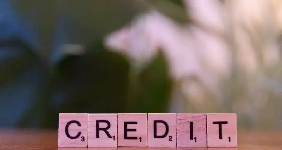 Close-up of wooden blocks spelling 'credit' with a blurred leafy background.