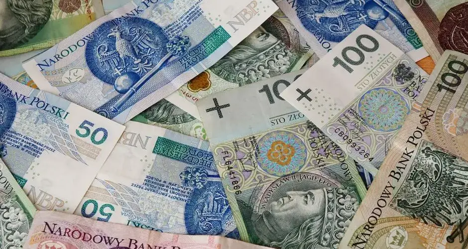 Diverse array of Polish banknotes showcasing various denominations and intricate designs.