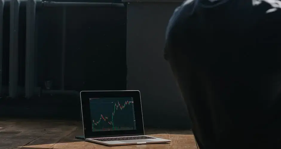 A person observing cryptocurrency trends on a laptop indoors.