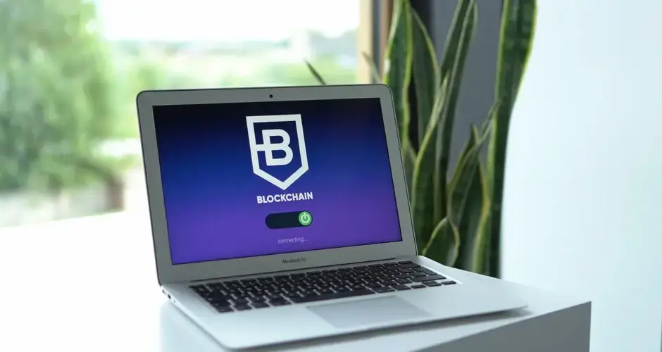 Close-up of a laptop displaying blockchain connection interface indoors, with a potted plant nearby.