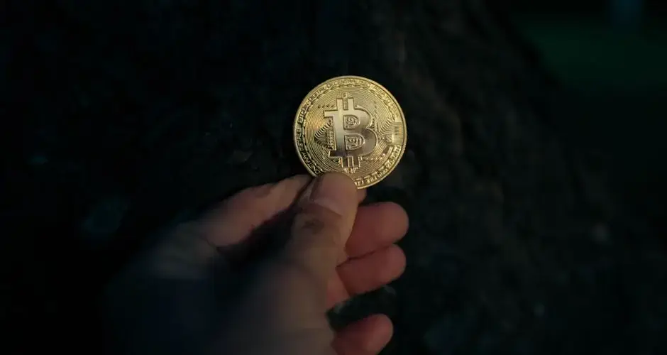 A close-up of a hand holding a Bitcoin coin outdoors against a dark tree background, illustrating cryptocurrency concepts.