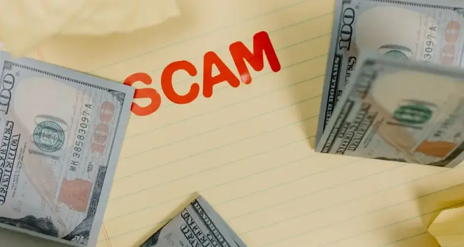 Conceptual image of financial scam with US dollars on yellow paper and word 'scam' visible.
